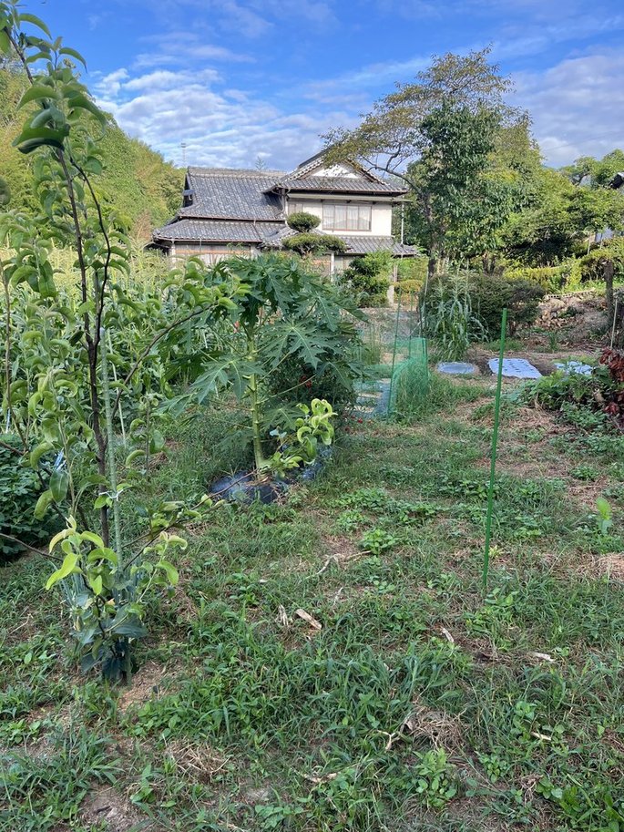 梨棚の支柱の位置決め