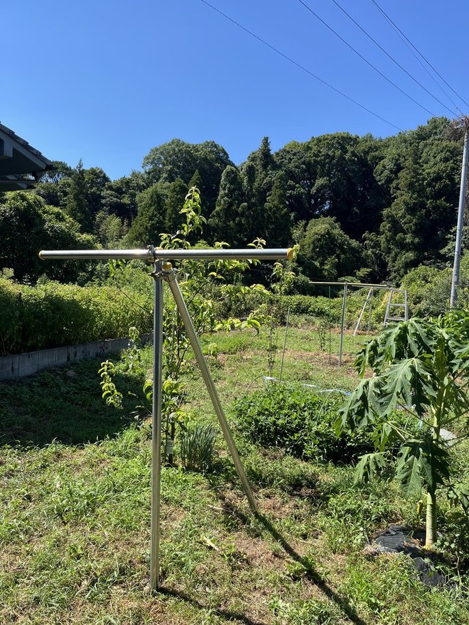 三本の梨支柱