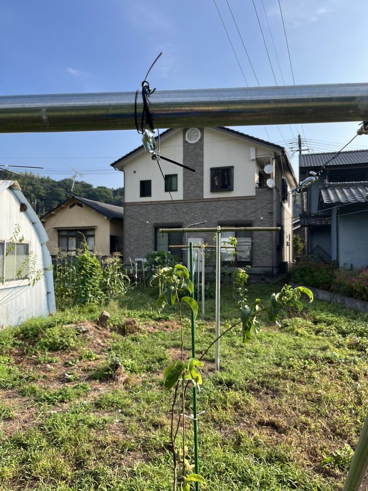 梨棚完成図