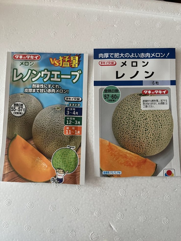 メロンの種